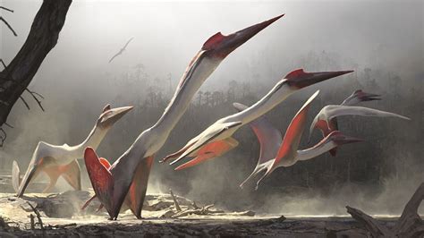  Quetzalcoatlus, Une Créature Préhistorique au Vol Majestic !